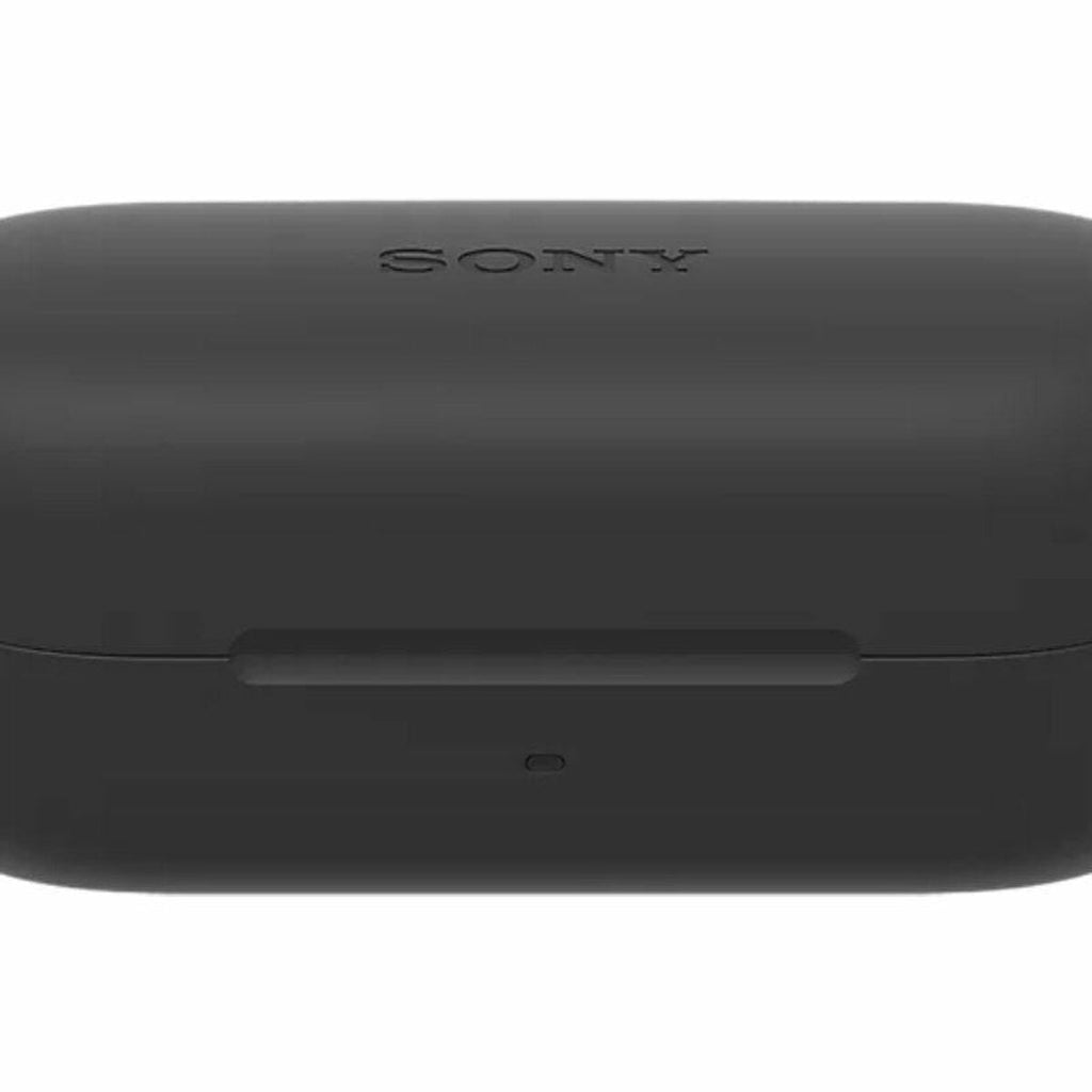 Wireless Earphones with Charging Case Sony WF-C510 Black-1