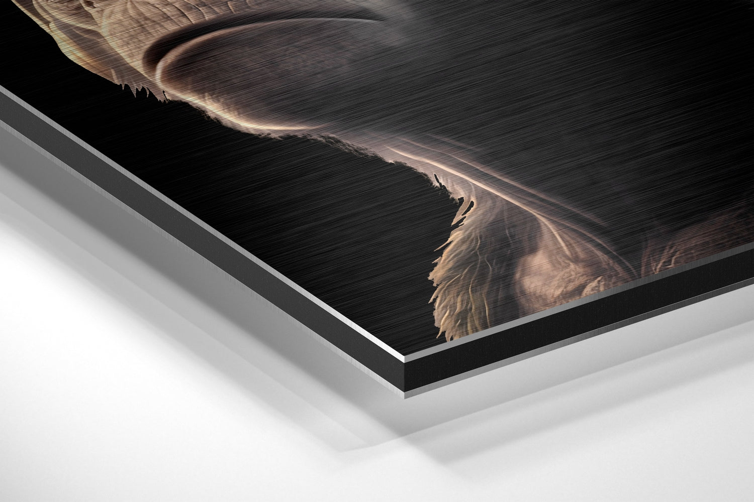 3 Wise Monkeys Brushed Aluminum Dibond Wall Art-1