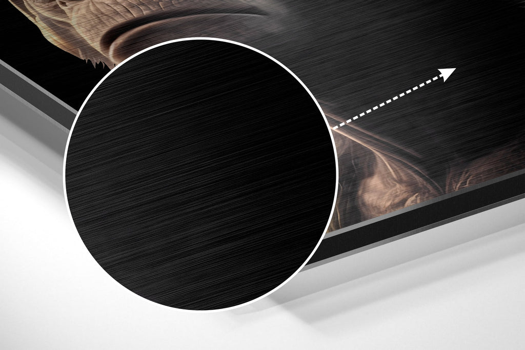 3 Wise Monkeys Brushed Aluminum Dibond Wall Art-2