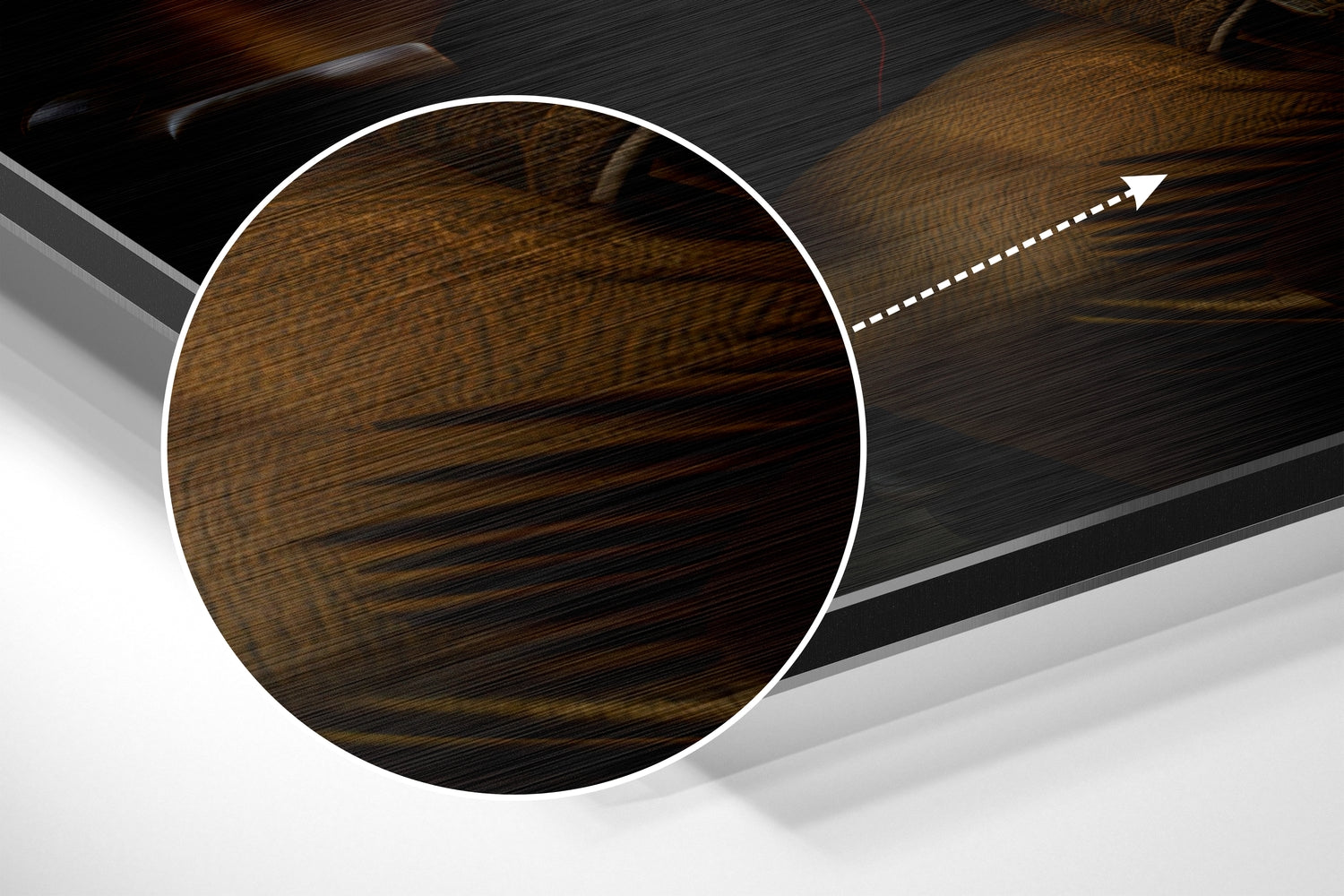 Lion as a Gentleman Brushed Aluminum Dibond Wall Art-2