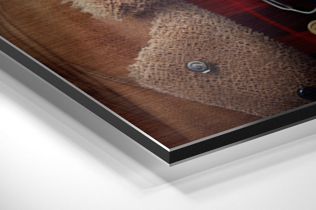 Mr. Dog Brushed Aluminum Dibond Wall Art-1