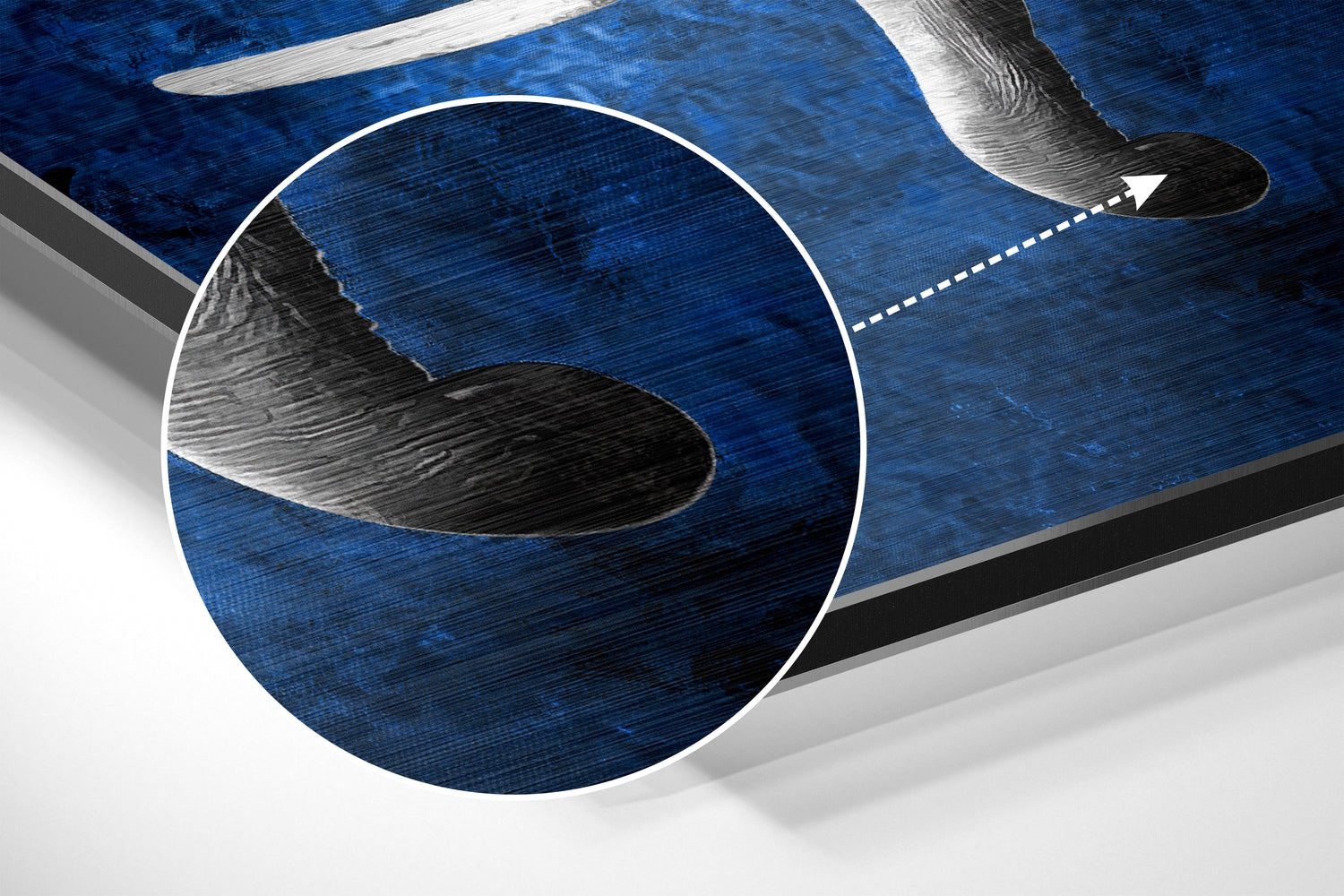 Elephant Brushed Aluminium Dibond Wall Art-2