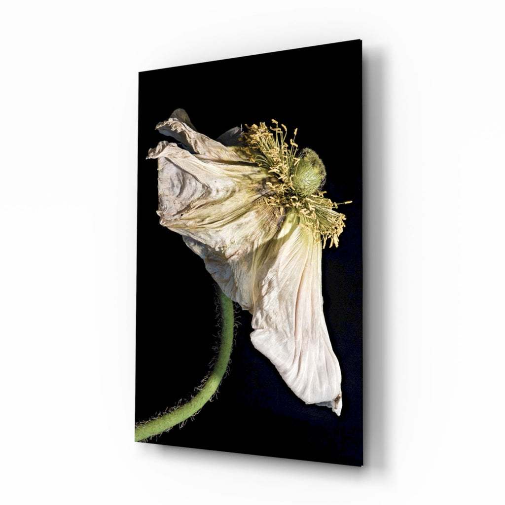 Flower Glass Wall Art-0