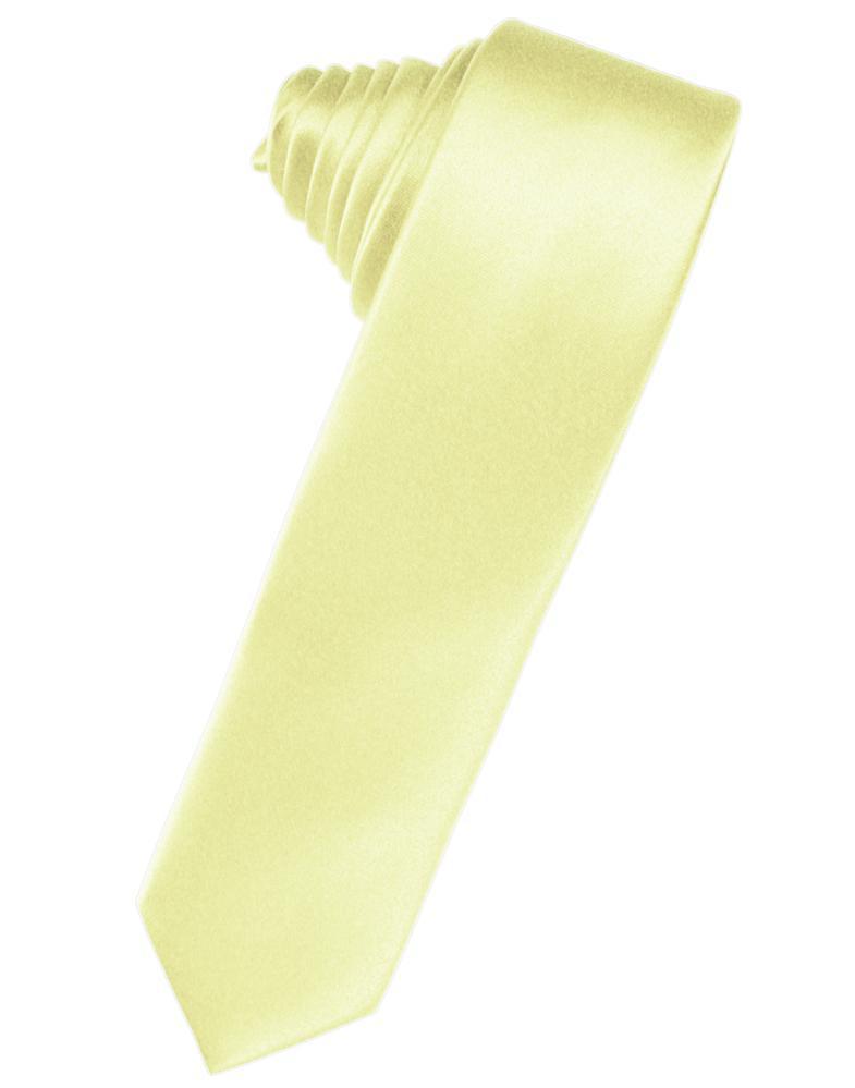 Luxury Satin Skinny Necktie Self Tie-5