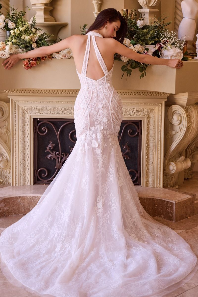 Lace Halter Neck Mermaid Wedding Dress-1