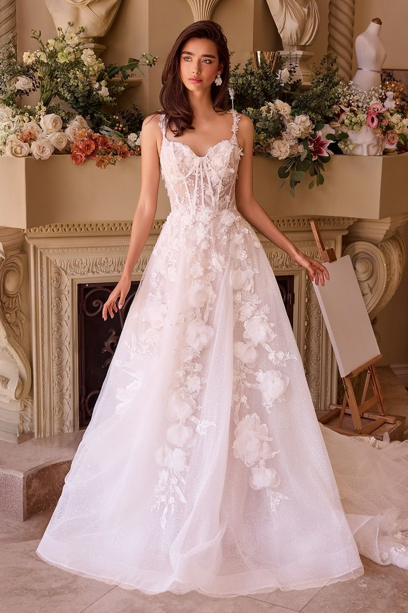 Intricate Floral Applique A-Line Tulle Wedding Dress-1